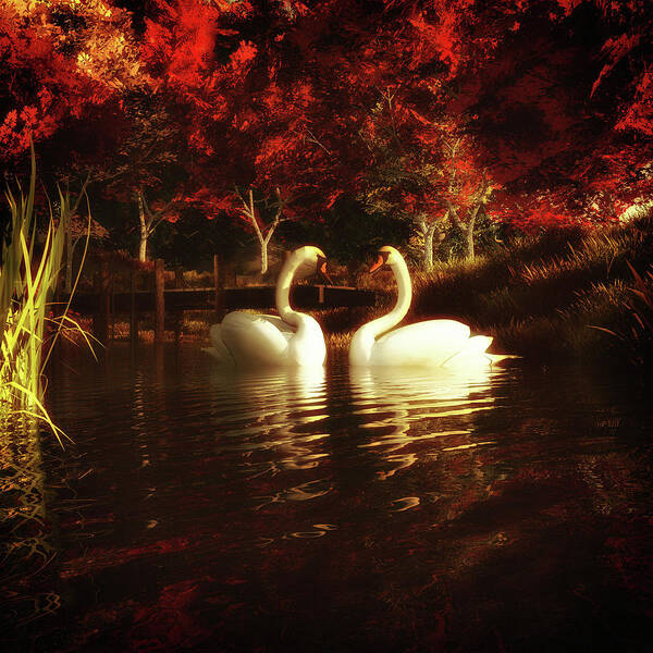 Autumn Art Print featuring the painting Swans in a pond by Jan Keteleer