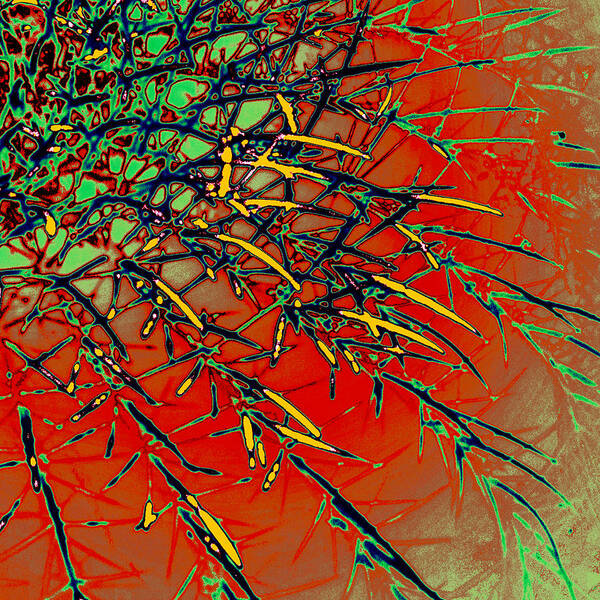 Digital Art Art Print featuring the digital art Swirl Barrel Cactus by Joe Hoover