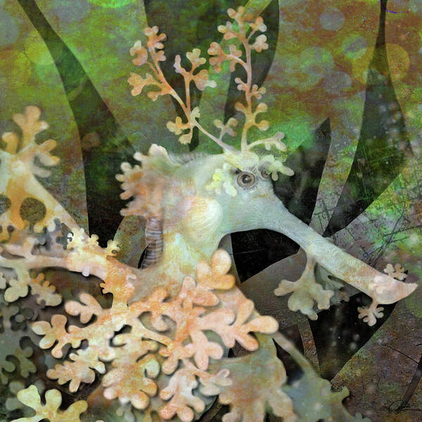 Seadragon Art Print featuring the digital art Teal Leafy Sea Dragon by Sand And Chi