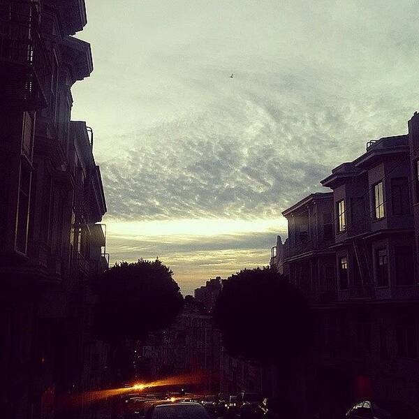 Sanfrancisco Art Print featuring the photograph Light and Dusk by Felicia Zurich Gallagher