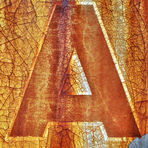 Letter A Art Print featuring the photograph The Letter A is for... by Luke Moore