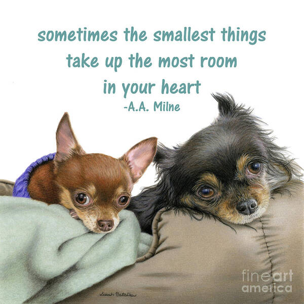 Chihuahuas Art Print featuring the drawing The Smallest Things- Square Format by Sarah Batalka