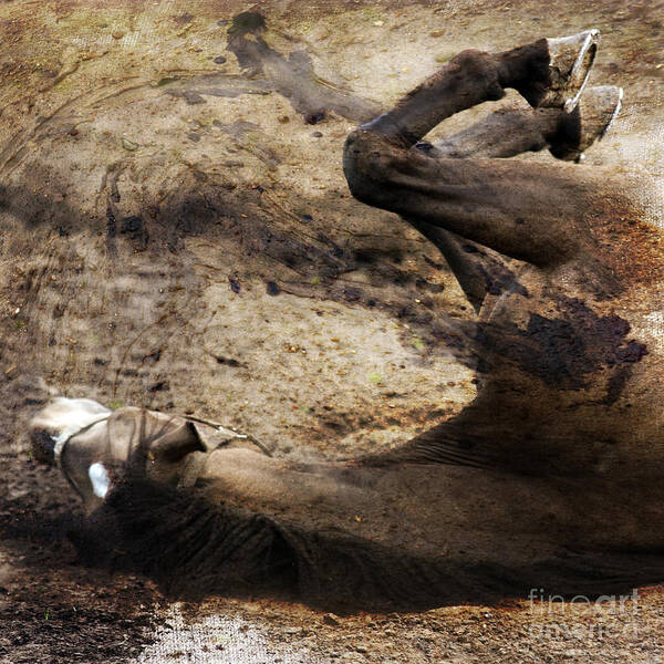 Horse Art Print featuring the photograph The Smell Of The Soil by Ang El
