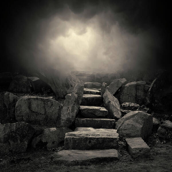 Stone Art Print featuring the photograph The Stone Steps I Toned by David Gordon