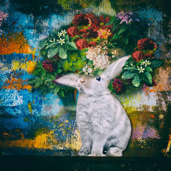 Rabbit Art Print featuring the photograph This Is Not Easy by James Bethanis