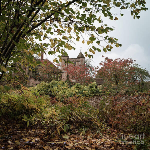 Russet Art Print featuring the photograph Through Leaves, Sissinghurst Castle Gardens by Perry Rodriguez