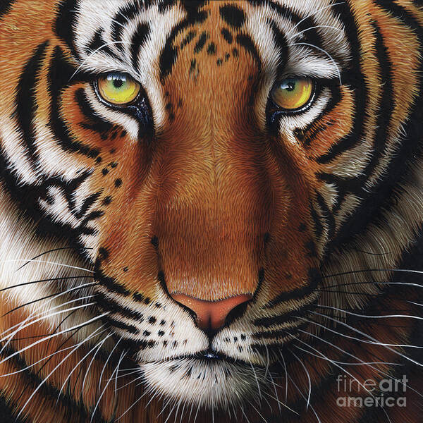 Tiger Art Print featuring the painting Tiger 2 by Jurek Zamoyski
