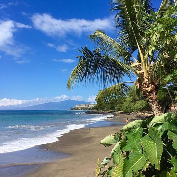 Maui Art Print featuring the photograph Today On #maui by Darice Machel McGuire