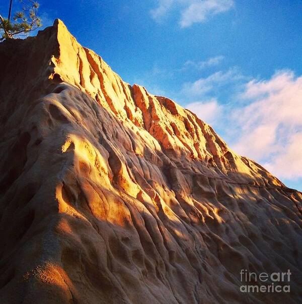 Torrey Pines State Reserve Art Print featuring the photograph Torrey Pines State Reserve by Denise Railey