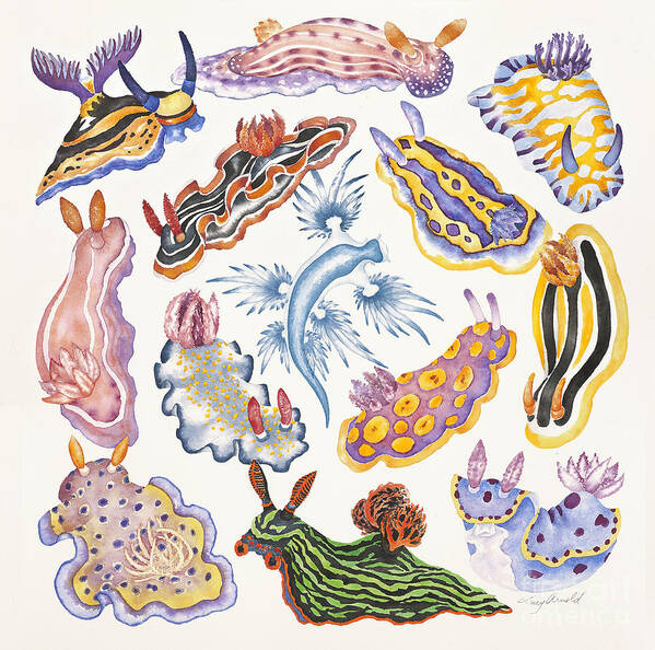 Sea Slugs Art Print featuring the painting Toxic Tango I Sea Slugs by Lucy Arnold