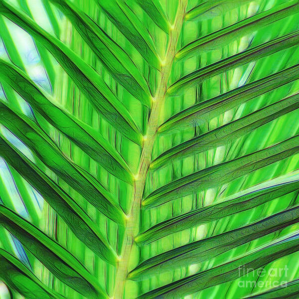 Palm Leaf Art Print featuring the photograph Tropical Foliage by Scott Cameron