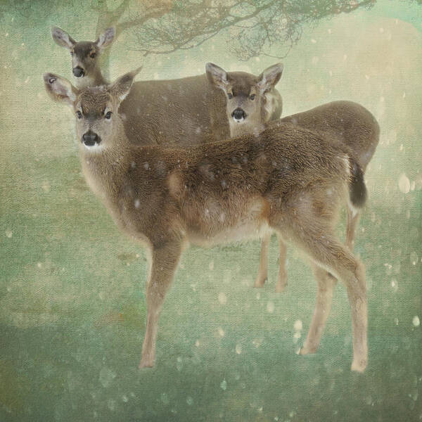 Surreal Art Print featuring the photograph Waiting for Christmas by Sally Banfill