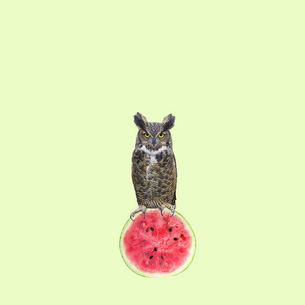 Minimal Art Print featuring the photograph Watermelon by Caterina Theoharidou