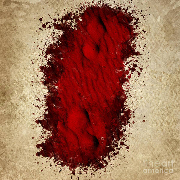 Crime Art Print featuring the photograph Where the blood trail leads by Jorgo Photography
