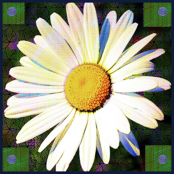 Flower Art Print featuring the digital art White Daisy Bud by Rod Whyte