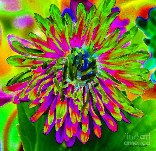 Diane Berry Art Print featuring the painting Wild Petals by Diane E Berry