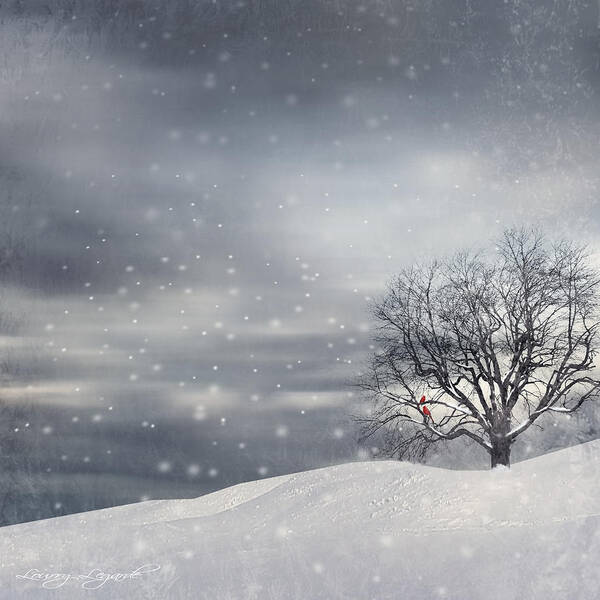 Four Seasons Art Print featuring the photograph Winter by Lourry Legarde