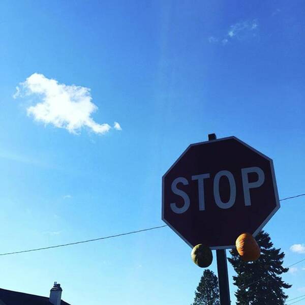 Stopsign Art Print featuring the photograph Write Your Own Caption? #creative by Ginger Oppenheimer