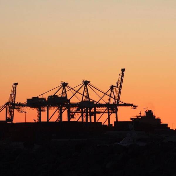 Western Australia Art Print featuring the photograph The port by Cat Penaluna