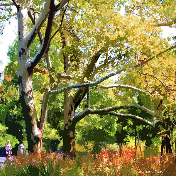 St. Louis Zoo Art Print featuring the photograph Zoo Trees by John Lautermilch