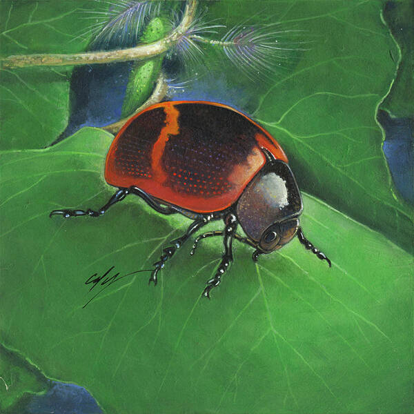 Beetle Art Print featuring the painting Beetle #1 by Durwood Coffey