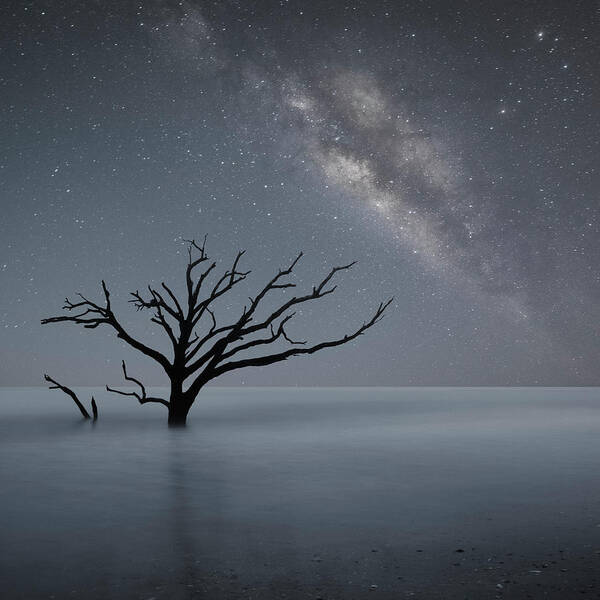 Milky Way In Botany Bay Art Print featuring the photograph Milky Way In Botany Bay #1 by Moises Levy