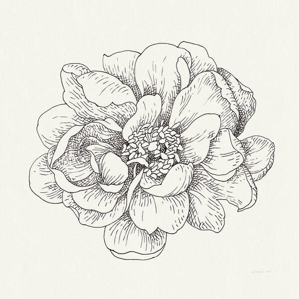 Black And White Art Print featuring the painting Pen And Ink Florals Iv #1 by Danhui Nai