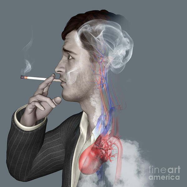 Nervous System Art Print featuring the photograph Man Smoking Cigarettes #14 by Fernando Da Cunha/science Photo Library