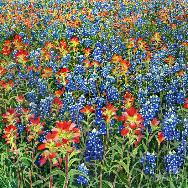 Spring Bliss -Bluebonnet and Indian Paintbrush by Hailey E Herrera