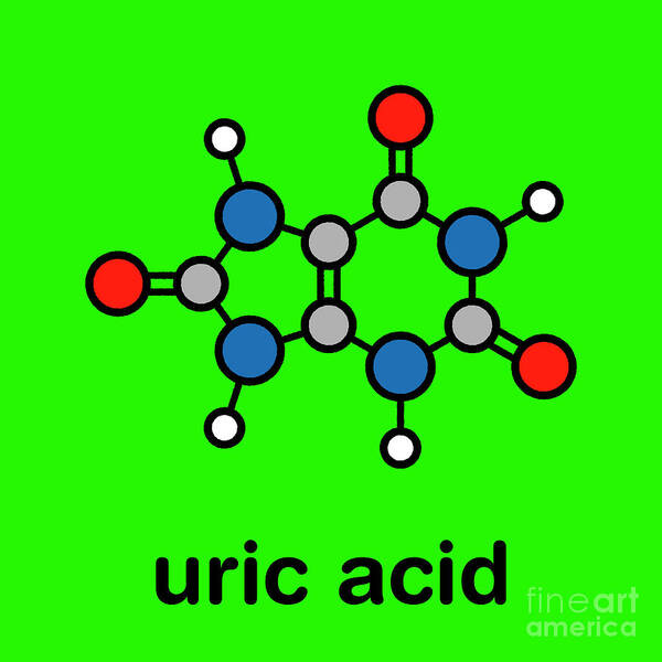 Uric Art Print featuring the photograph Uric Acid Molecule #2 by Molekuul/science Photo Library