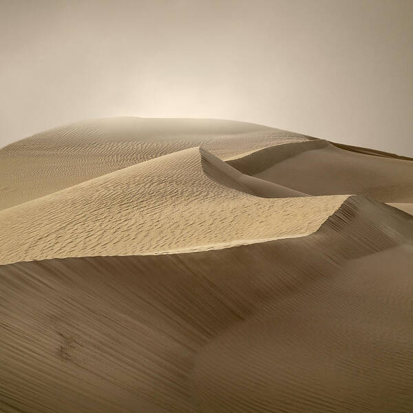 Desert Art Print featuring the photograph Erg Admer #4 by Jean-luc Billet