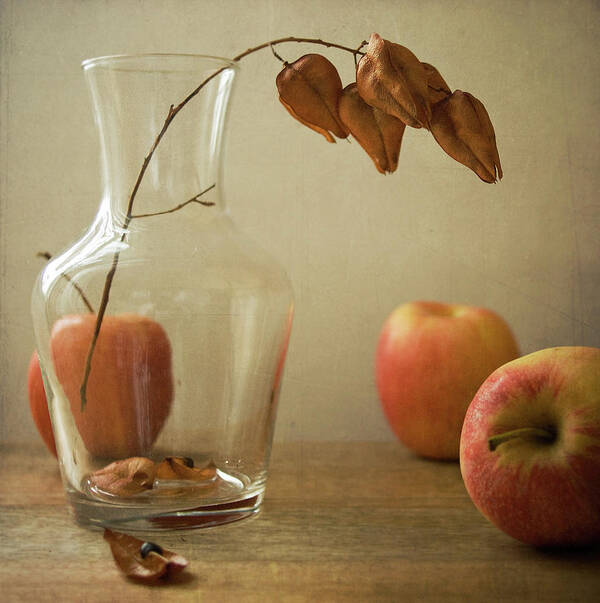 Vase Art Print featuring the photograph Apples And Vase by C.aranega