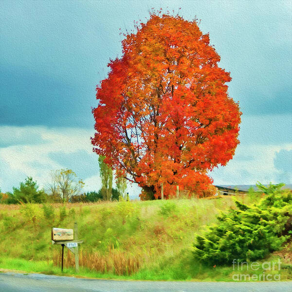 Virginia Art Print featuring the photograph Autumn in Virginia by Lenore Locken