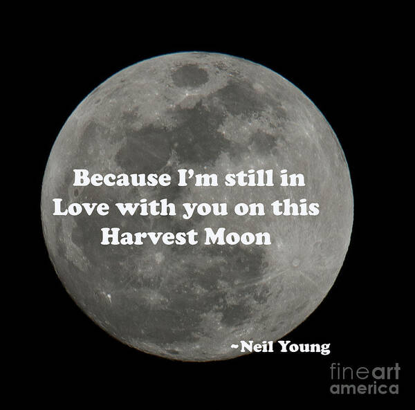 Harvest Moon Art Print featuring the photograph Because I'm Still in Love with You - Neil Young by Dale Powell