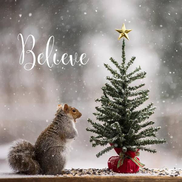 Believe Christmas Tree Squirrel Square Art Print featuring the photograph Believe Christmas Tree Squirrel Square by Terry DeLuco