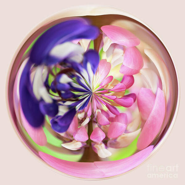 Orb Art Print featuring the photograph Blue and Pink Orb by Phillip Rubino