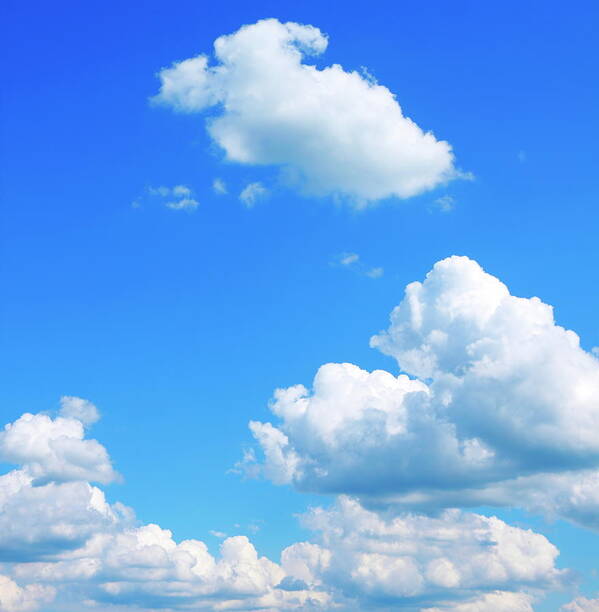 Bright Blue Sky With Puffy Print by Bgfoto -