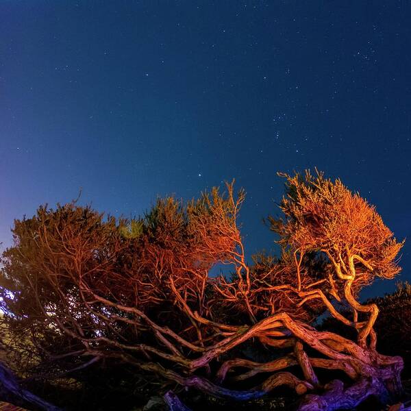 Camping Art Print featuring the photograph Campfire Glow - South Carlsbad SB and Campground - California by Bruce Friedman