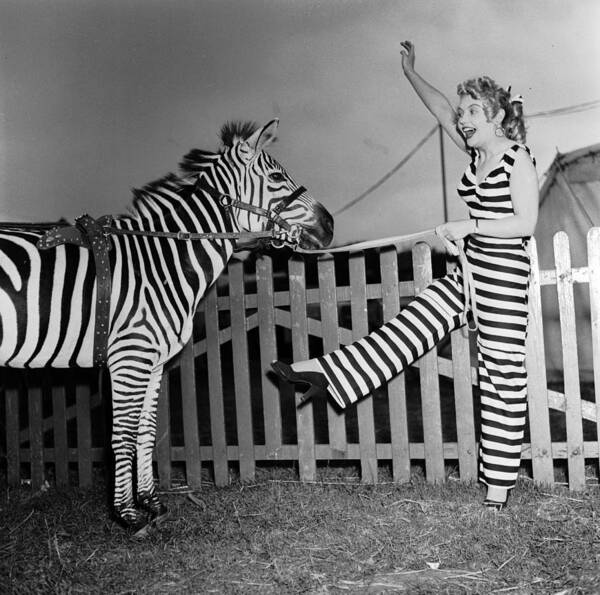 Singer Art Print featuring the photograph Circus Stripes by Peter Purdy