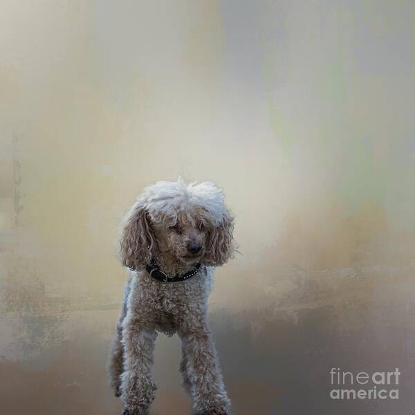 Coco Art Print featuring the photograph Coco by Eva Lechner