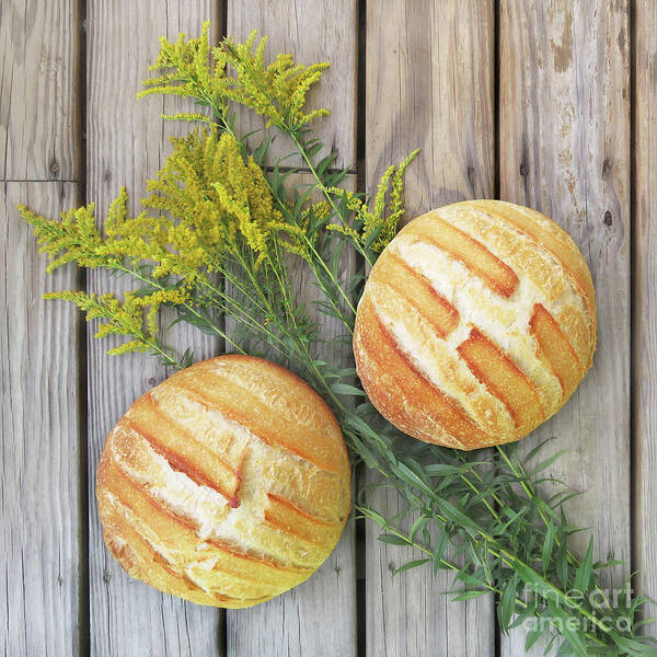 Bread Art Print featuring the photograph Country White Sourdough by Amy E Fraser