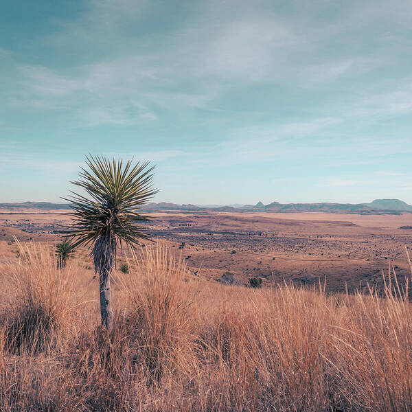 Fort Davis Art Print featuring the photograph Desert Expanse by Slow Fuse Photography