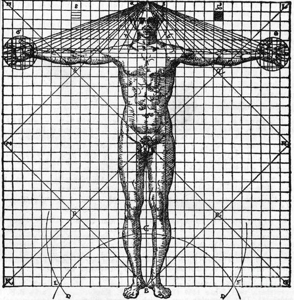 People Art Print featuring the photograph Diagram Of Mans Proportions On Graph by Bettmann