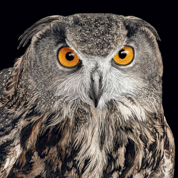 Owl Art Print featuring the drawing Eurasian Eagle Owl by Ann Ranlett