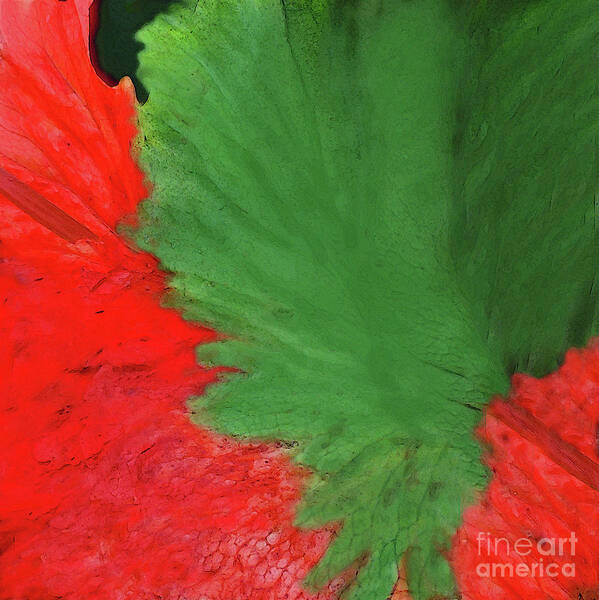 Abstract Art Print featuring the mixed media Feather Dancer Red and Green by Sharon Williams Eng