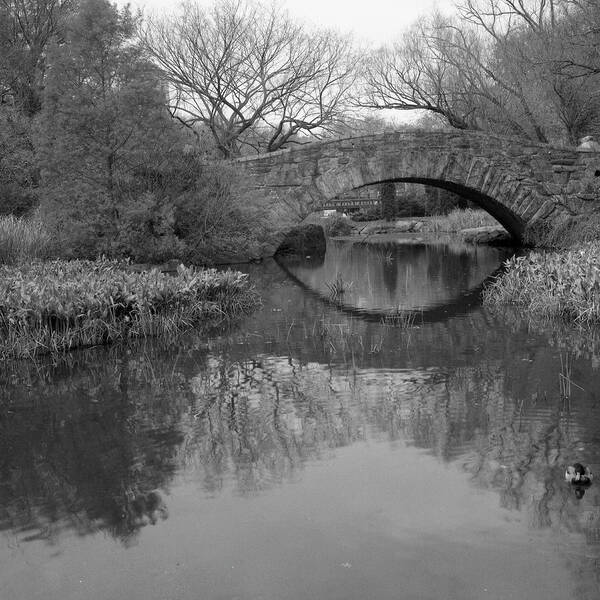 Scenics Art Print featuring the photograph Gapstow Bridge - Central Park - New by Holden Richards