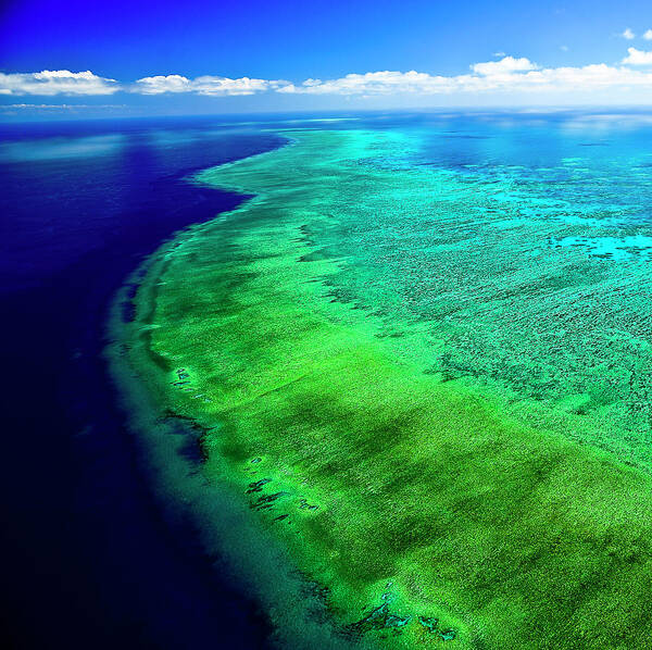 Water's Edge Art Print featuring the photograph Great Barrier Reef From The Sky by Silvia O' Images