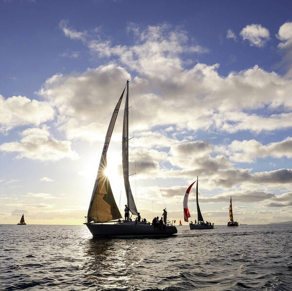 Sail Art Print featuring the photograph Heading Out by Bari Rhys