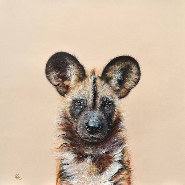 Wildlife Art Print featuring the drawing I am a Wild Thing - African Painted Dog by Elena Kolotusha