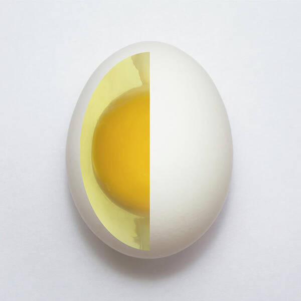Egg Art Print featuring the photograph Inner Egg by Adelino Alves